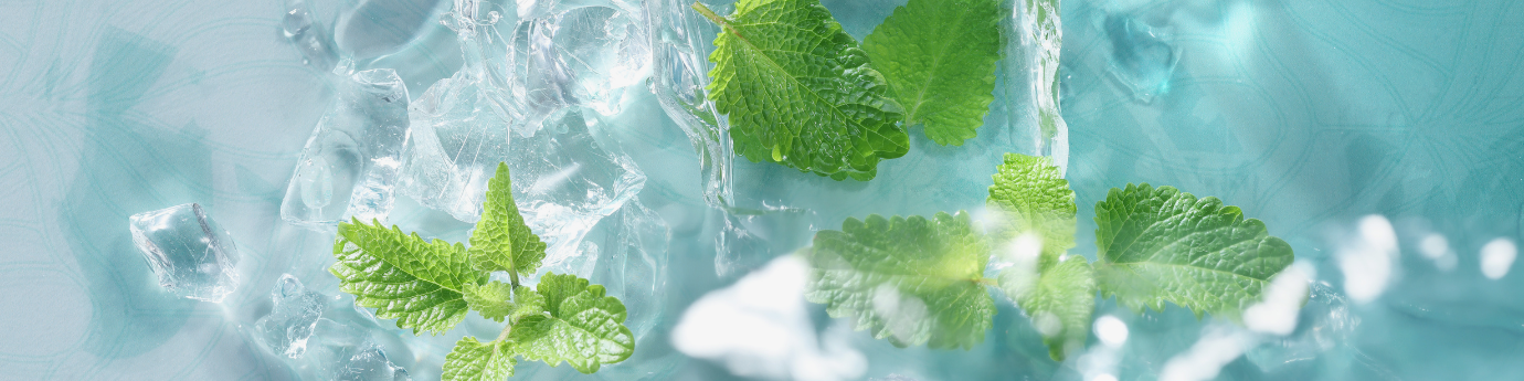 Minty Spark