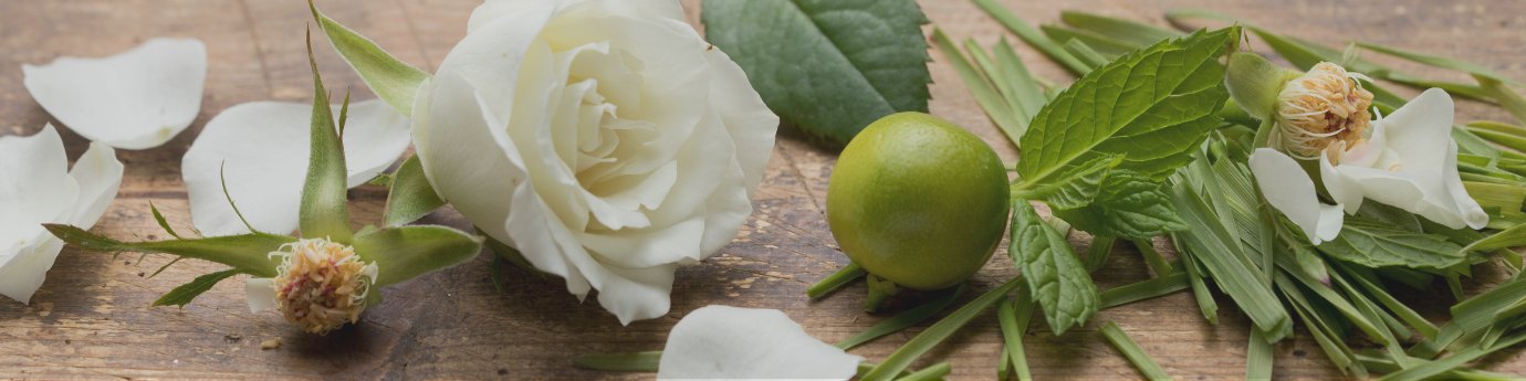 Green Rose